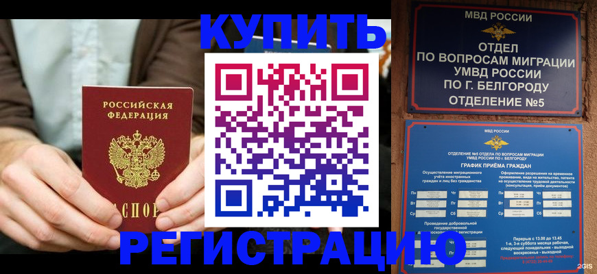 прописка 2025 в Коркино